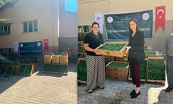 Uşak’ın Sivaslı İlçesinde yüzde 75’i hibe fide dağıtıldı