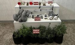 Uşak'ta Ev Baskınında Skunk Serası Ortaya Çıkarıldı