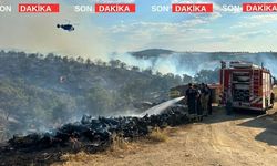 Uşak’taki Orman Yangını An İtibarıyla Kontrol Altına Alındı
