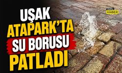 Uşak Atapark'ta Su Borusu Patladı