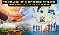 Uşak'ta Sosyal Girişimcilere Büyük Fırsat