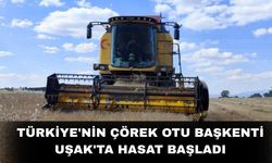 Türkiye'nin Çörek Otu Başkenti Uşak'ta Hasat Başladı