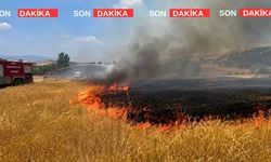 Uşak’ta ekili tarım arazileri yandı