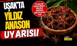 Uşak’ta Yıldız Anason Uyarısı!