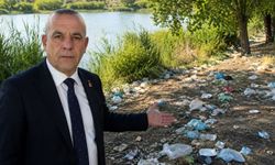 Doğa Cennetindeki Çöp Manzarası Tepki Çekti