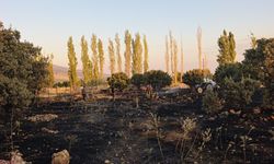 Uşak-Çivril Kara Yolunda Korkutan Yangın