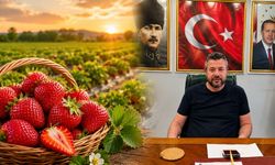 Sivaslı’da Çilek Festivali Hasreti Bitiyor