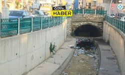 Uşak’ın İnci gerdanlığı Dokuz Sele Çayı Pislik İçerisinde