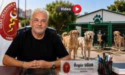 Uşak’ta Sokak Köpekleri Neden Azaldı? İşte Nedeni