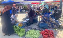 Uşak Salı Pazarı'nda Fiyat Şoku! Domates 20 TL, Bamya 200 TL