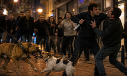 Köpekler Kavga Etti İnsanlar Birbirini Bıçakladı