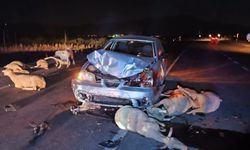 Uşaklı Sürücü Otomobiliyle  17 Cana Kıydı