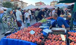 Uşak Salı Pazarı’nda Fiyatlar Belli Oldu