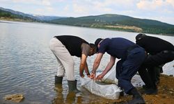 Uşak’ta 19 Gölete 433 Bin Yavru Balık Bırakıldı