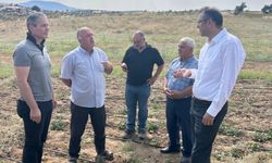 Uşak'ta Kadın Üreticiler Tarımın Geleceğini Şekillendiriyor
