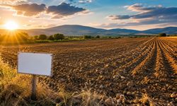 Uşak’ta Dev Tarlanın Bedeli Dudak Uçuklattı