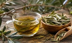 Zeytin Yaprağı Neye İyi Geliyor? Uşaklı Aktar Tek Tek Anlattı
