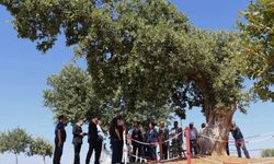 Uşak’ın Eşme İlçesi Kurtuluşunun 104. Yılını Coşkuyla Kutladı