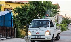 Uşak’ta Vatandaşlardan Belediyeye Haşere Çağrısı: “İlaçlamalar Artırılsın”