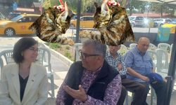 “Uşak’ın Sürgün (!) Kedisi Mia’daki Keyif Bey’de Yok”