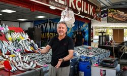 Uşak’ta Balık Bereketi Başladı Ama Esnafın Beklediği Olmadı