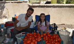 Salı Pazarı’ndan Güncel Sebze ve Meyve Fiyatları