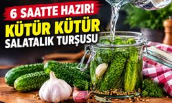 Kütür kütür salatalık turşusu tarifi Haftalarca beklemeye gerek yok