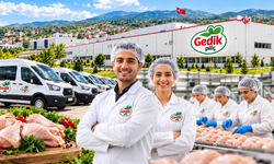 Gedik Piliç Personel Alımı Yapacak! İşte Başvuru Şartları