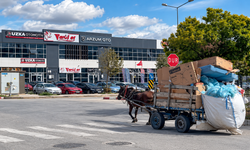 Uşak'ta At Arabalarıyla Ekmek Mücadelesi