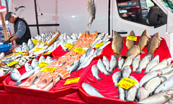 Uşak'ta Balık Fiyatları Belli Oldu! Hamsi 200 TL