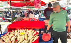 Uşak Salı Pazarı’nda Balık Fiyatları Şaşırttı