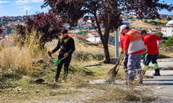 Uşak Elmalıdere Mahallesi’nde Temizlik Seferberliği