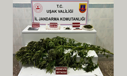 Uşak Jandarması Zehir Tacirini Mallarıyla Birlikte Yakaladı