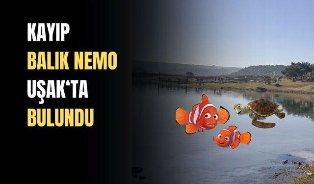Kayıp Balık Nemo Uşaklı çocuklarla birlikte