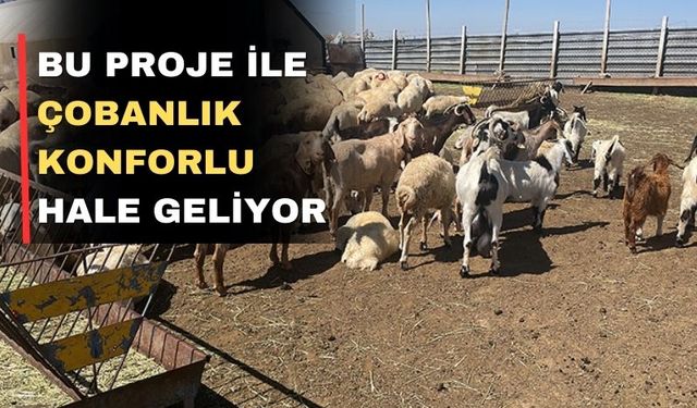 Uşaklı hayvan üreticileri için yaşam alanı projesi