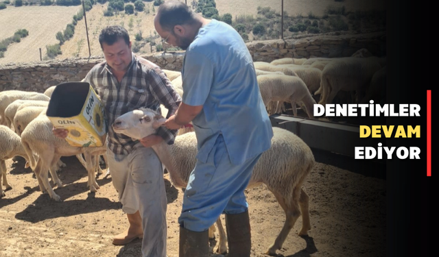 Uşak'ta tarım ve hayvancılık faaliyetlerine denetim