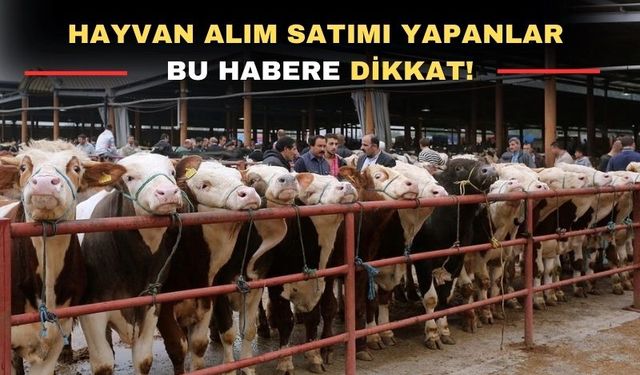 Uşak’ta hayvan pazarı açılış saatleri değişti