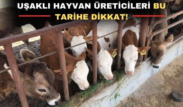 Uşaklı üreticiler; 2 Aralık’a kadar başvuru yapmayı unutmayın