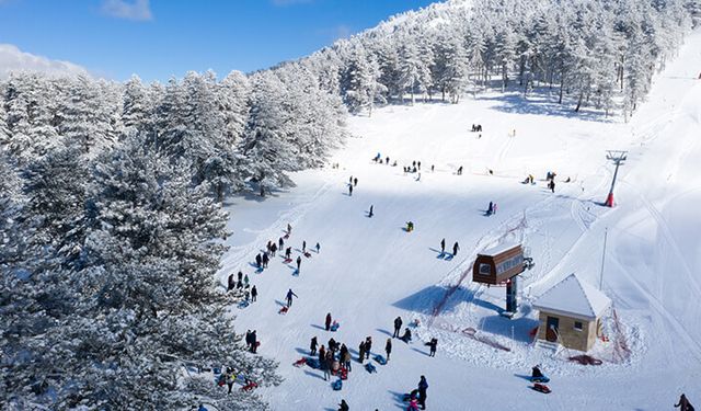 Artvin'in Ardanuç ilçesi Aksu Yaylası'nda çığ