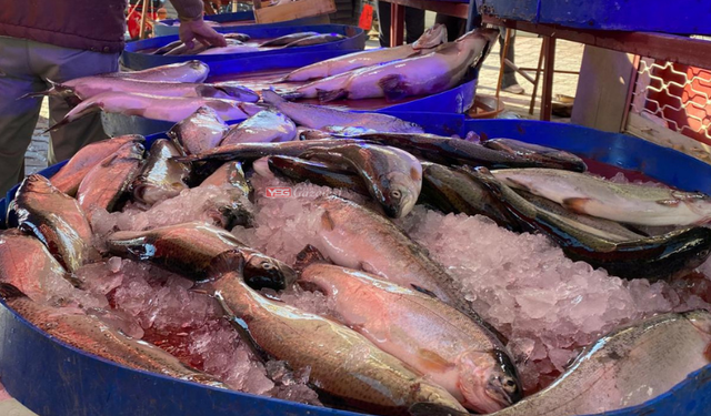 'Balıkçılık sektörü birkaç yıldır adeta destan yazıyor'