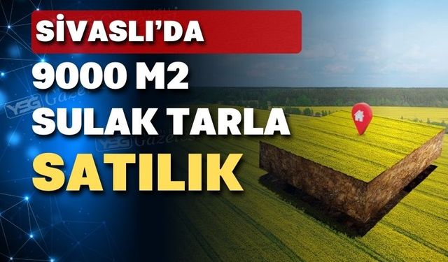 Borcu artan Uşaklının tarlası tokadı icradan satılıyor