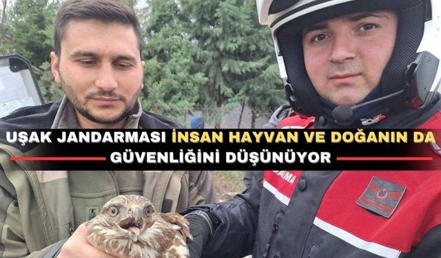 Doğa dostu Uşak Jandarması yaralı kızıl şahini kurtardı