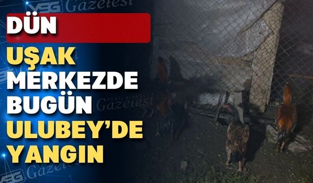 Uşak’ın Ulubey ilçesinde yangında 100 can gitti