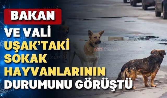 Uşak’ta sokak hayvanlarının durumu görüşüldü