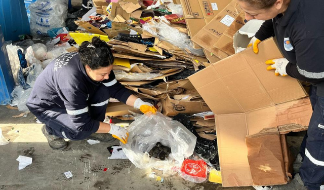 Pres makinesine giden kartonlar arasından 5 yavru kedi çıktı