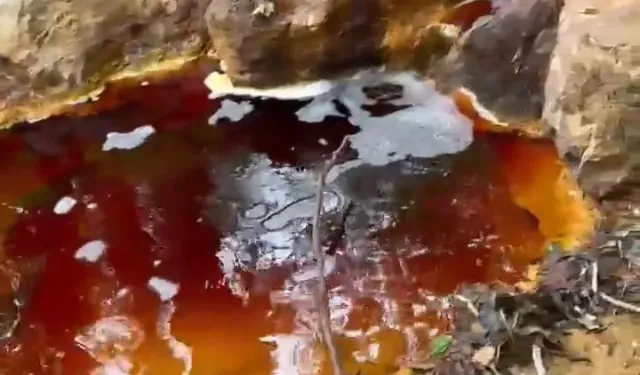 Yeni çevre felaketi! Dere kırmızıya boyandı!