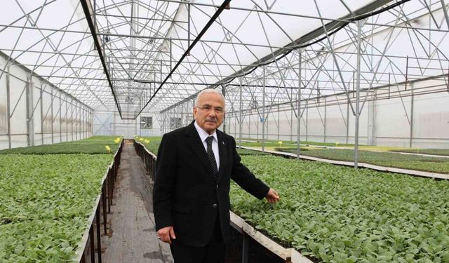 5 yılda üretilen 4 milyon adet fide üreticilere dağıtıldı