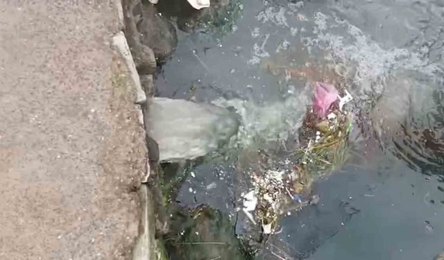 Kirliliğe neden olan belediyeye 1,3 milyon lira ceza