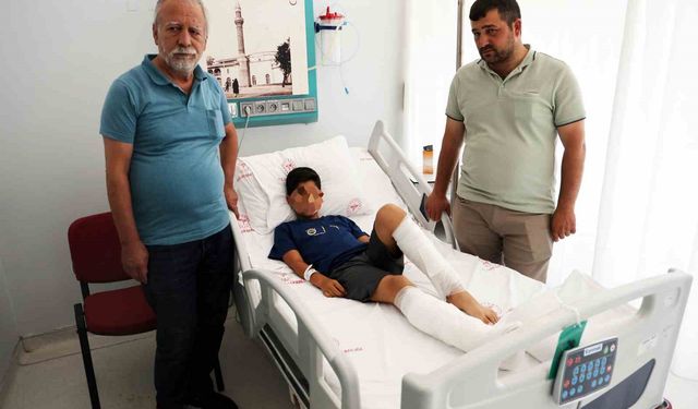 Köpek saldırısına uğrayan çocuğun ailesi konuştu