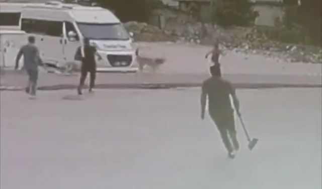 Sahipsiz  köpekler çocuğa saldırdı